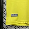 2024/2025 Lazio Away Football Jersey 1:1 Thai Quality