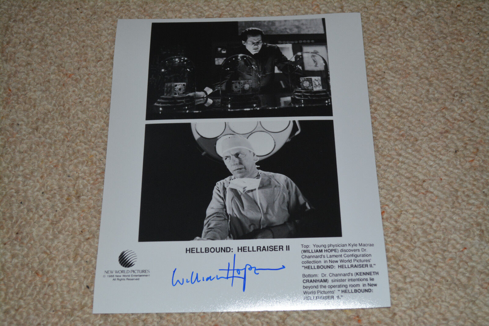 WILLIAM HOPE signed autograph In Person 8x10 20x25 cm HELLRAISER II