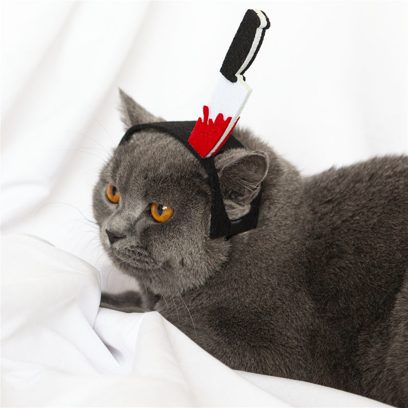 Purrfect Twist: Quirky Cat Cosplay Braids & Whimsical Dog Photo Props