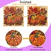 DIY Pre-Framed Autumn Festival Button Art Canvas Kit