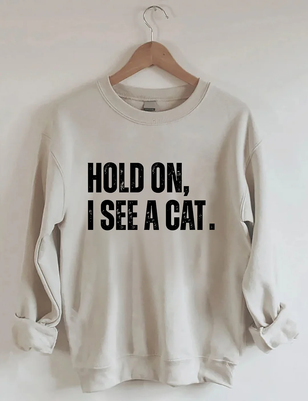 Hold On I See A Cat Sweatshirt