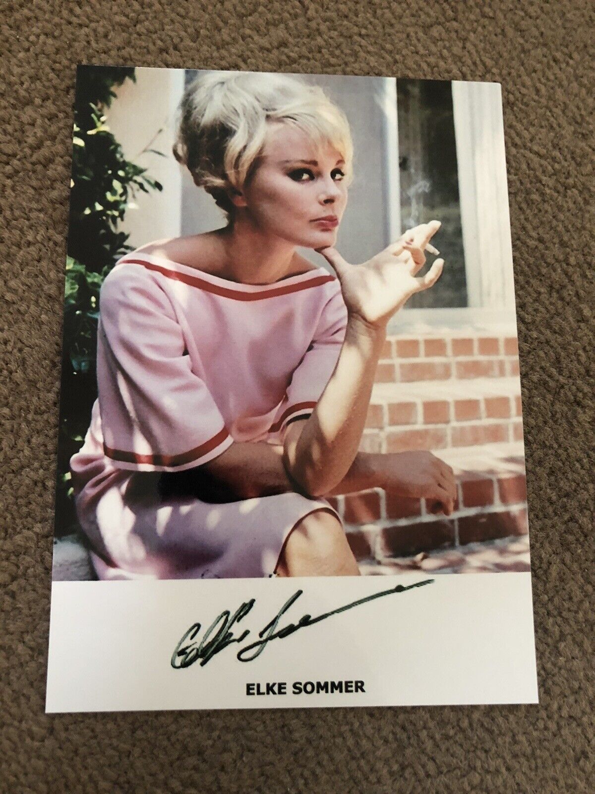 ELKE SOMMER (CARRY ON) PRESIGNED Photo Poster painting- 7x5”