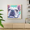 uk.everydayedeals (Limited Stock)Paint By Number - Oil Painting -  Bulldog (40*40Cm)