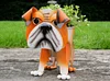 Bulldog Dog Planter Outdoor Garden Pot Ornament Patio Display For Flowers / Herbs - Quirky Gift Present
