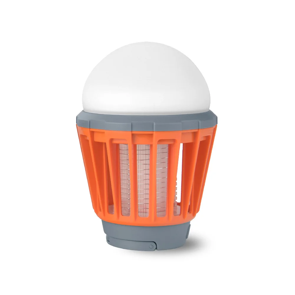 Boundery Bug Bulb