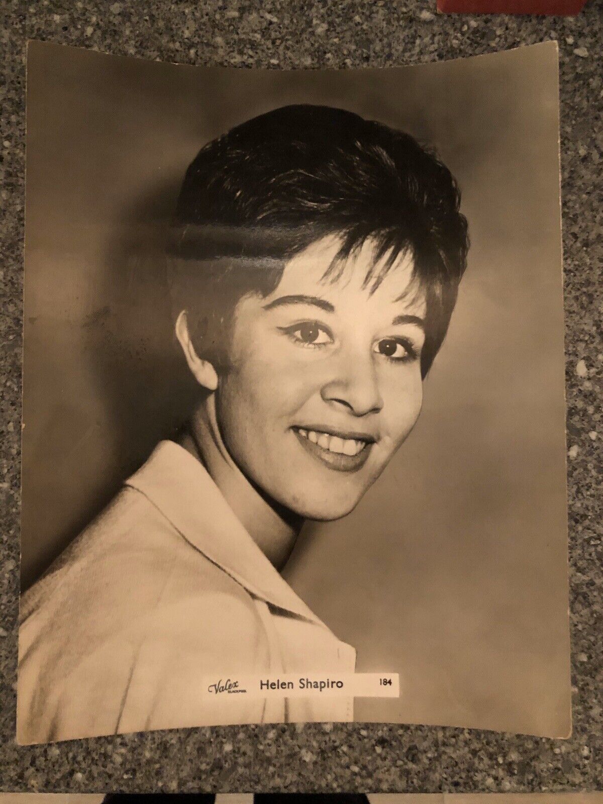 HELEN SHAPIRO (SINGER) UNSIGNED VINTAGE B&W Photo Poster painting- 10x8”