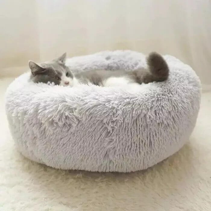 Grey Colors of Cozy Pet Beds with 7 Sizes