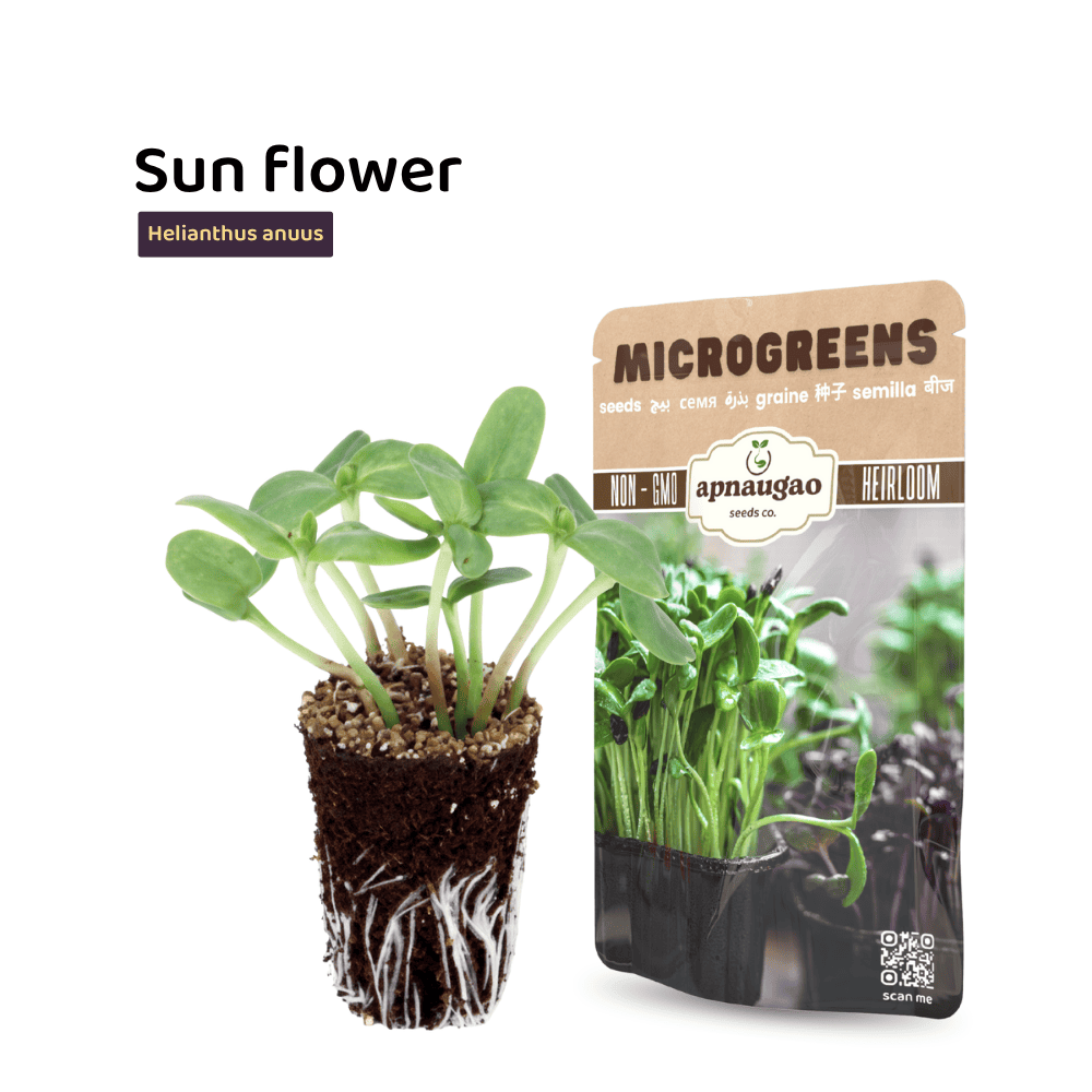 Sunflower Microgreens Seeds
