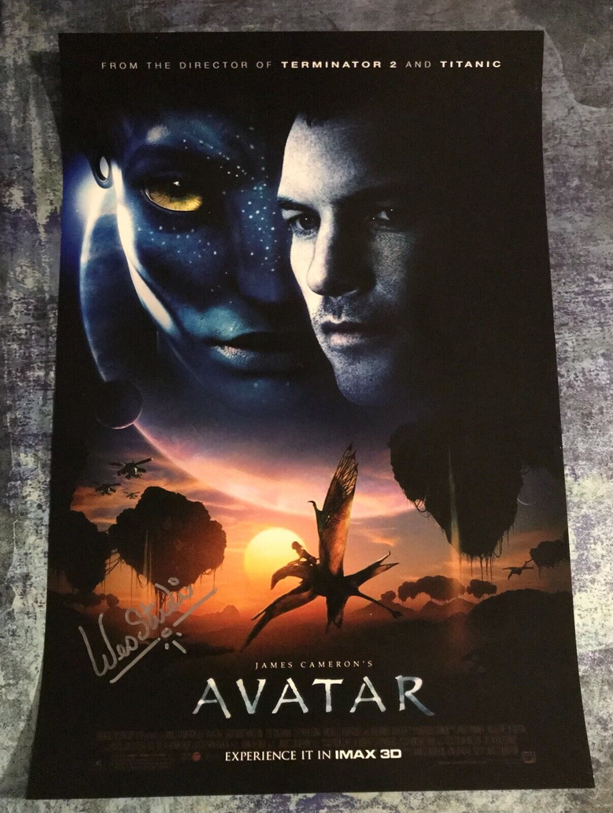 GFA Avatar Eytukan Movie * WES STUDI * Signed 12x18 Photo Poster painting W4 COA