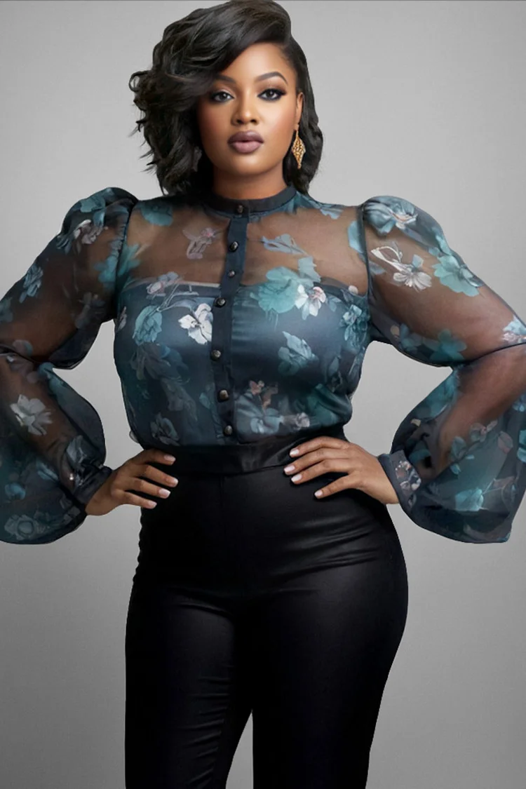 Xpluswear Design Plus Size Business Casual Blue Floral Round Neck Puff Sleeve Long Sleeve See Through Elegant Organza Blouses [Pre-Order] 2024 - Xpluswear