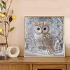 Crystal Owl-Special Shaped Diamond Painting