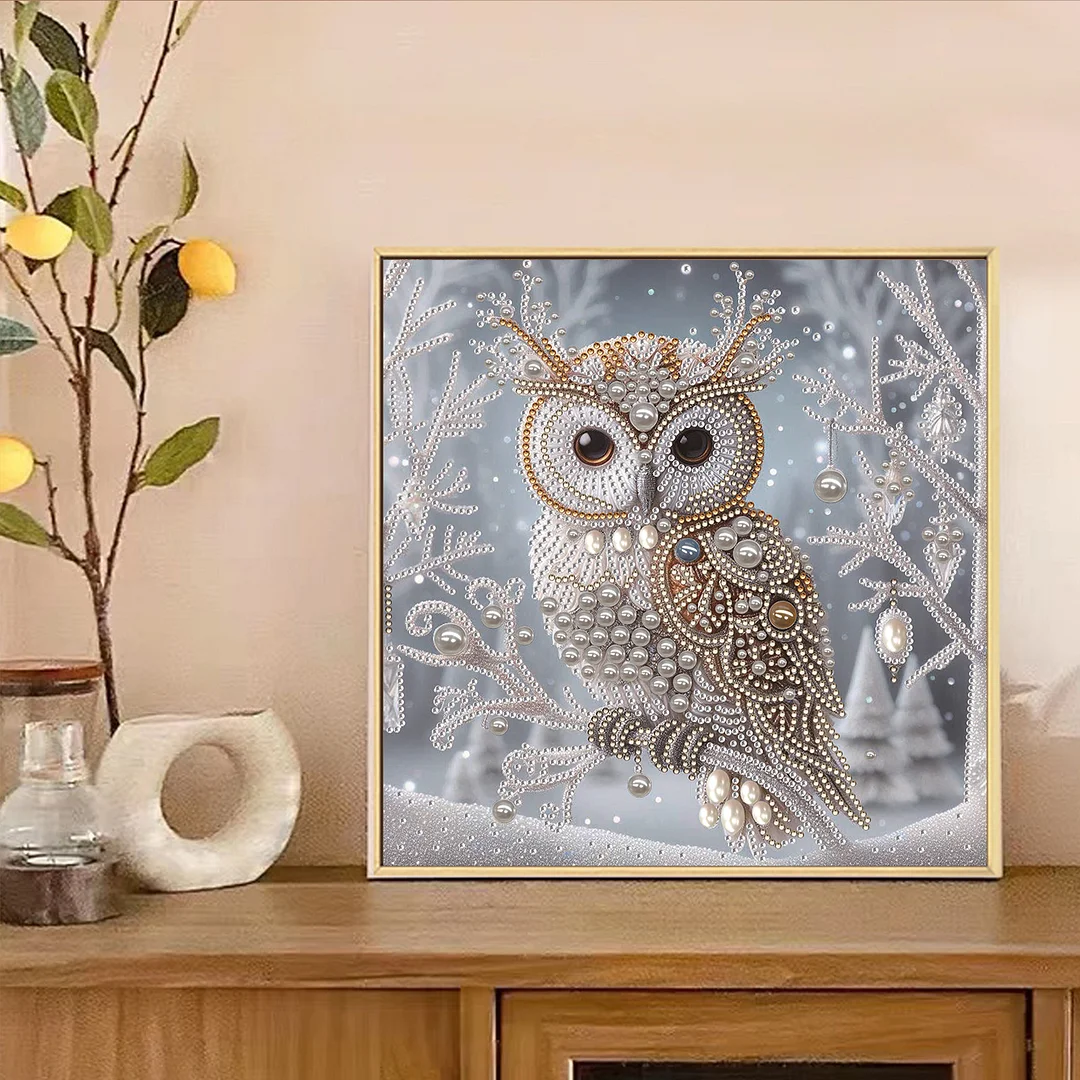 Crystal Owl Special Shaped 5D DIY Partial Drill Diamond Painting Kit Home Art 30x30cm