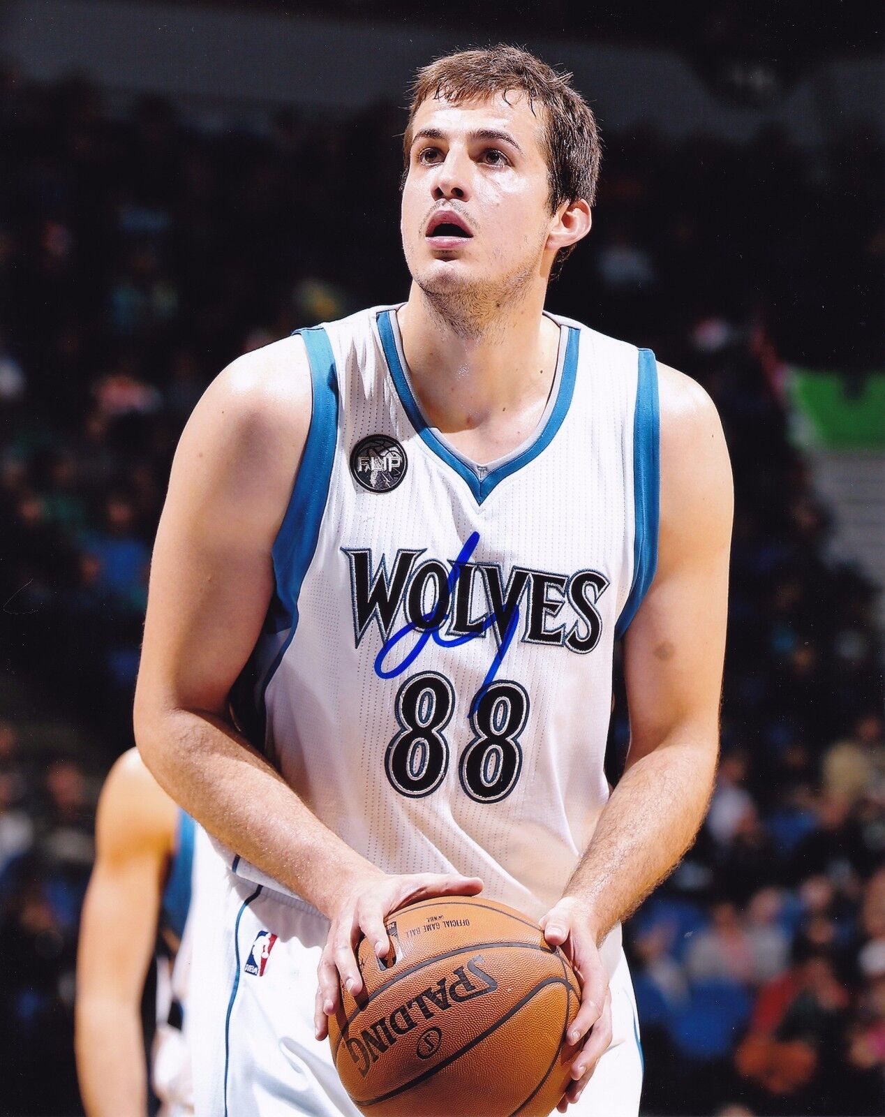 Nemanja Bjelica Autographed 8x10 Minnesota Timberwolves#S1320