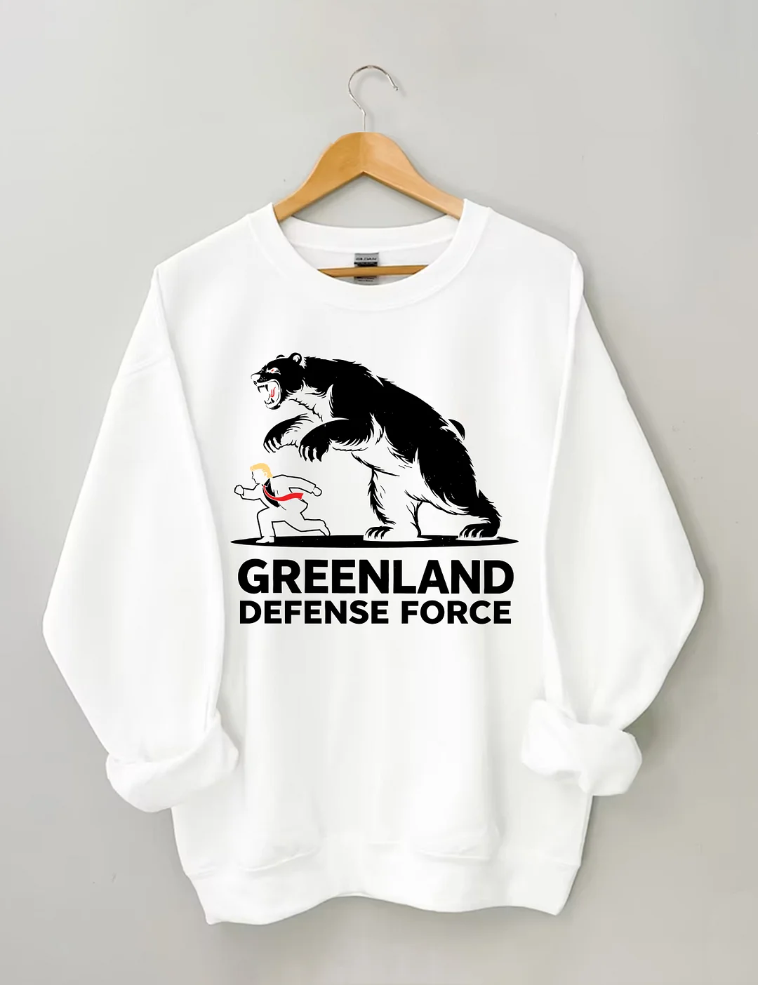 Greenland And Defense Force Sweatshirt