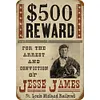 (Multi Style)Wanted - Metal Tin Signs(12*16Inch)