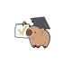 Wise Bear Graduate