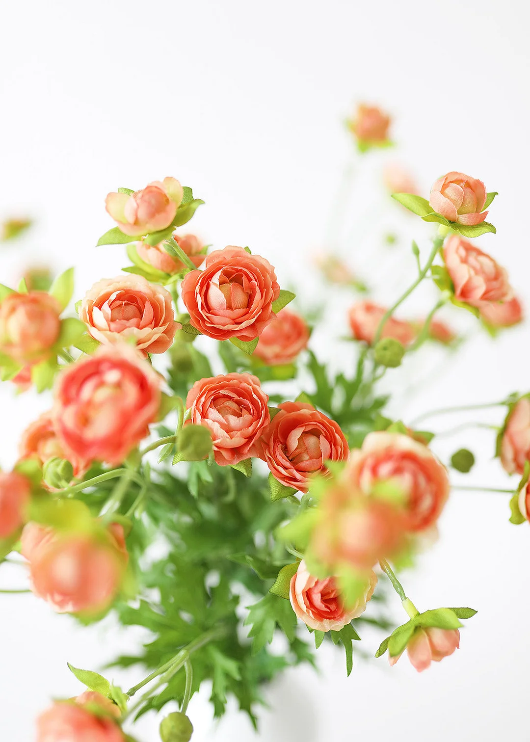 Silk Mini Ranunculus in Coral - 22"