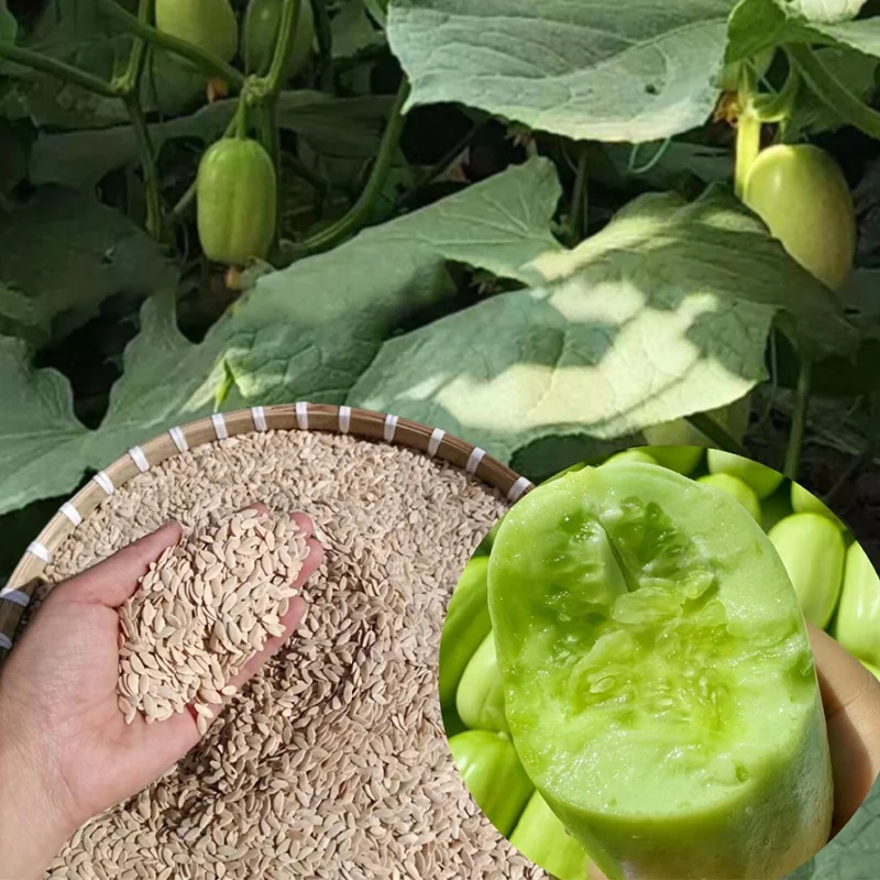 Fruity vitamin C cucumber - Julienne cucumber