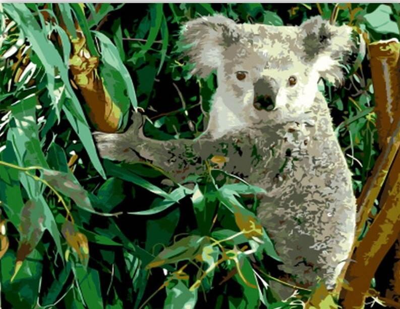 

Koala Eucalyptus – Paint By Numbers - 40*50CM, 501 Original