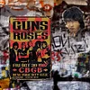 Guns N' Roses - Vintage Metal Signs - 20*30cm/30*40cm - Music