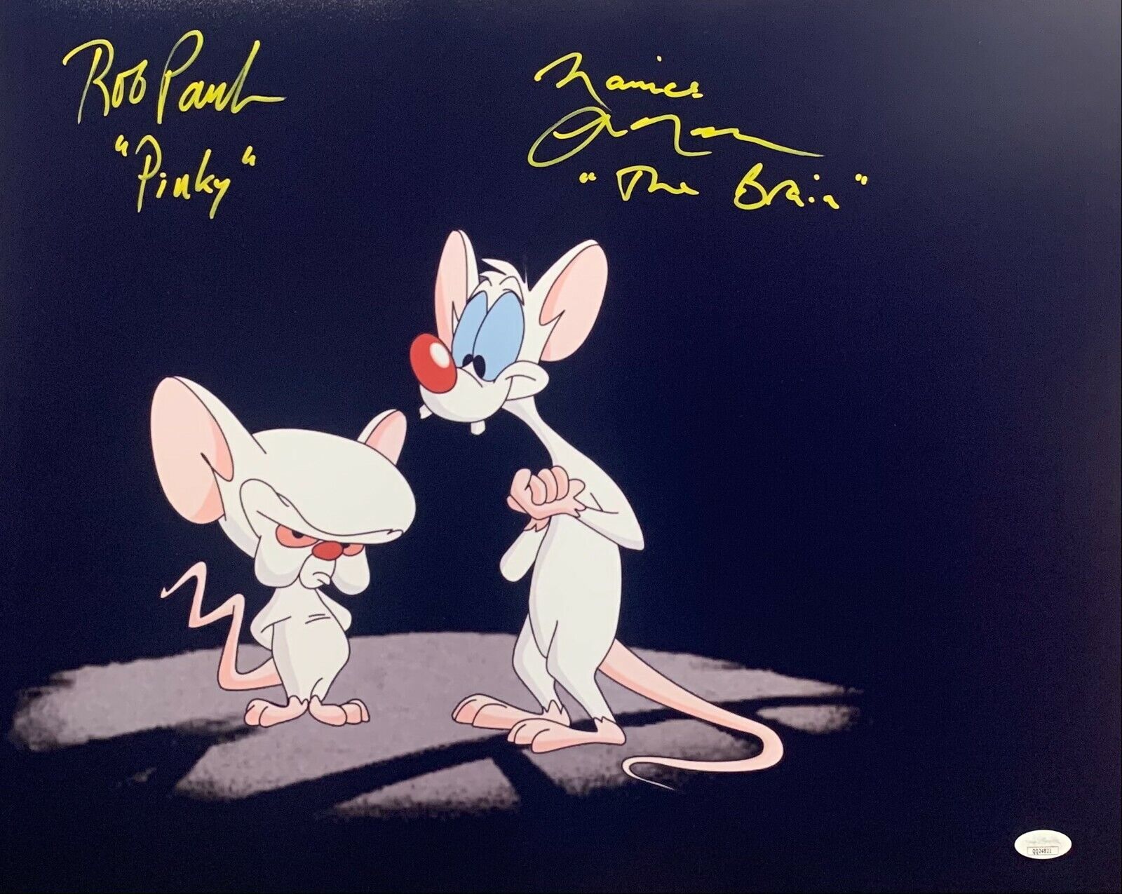 Rob Paulsen Maurice LaMarche signed inscribe 16x20 Photo Poster painting Pinky and the Brain JSA