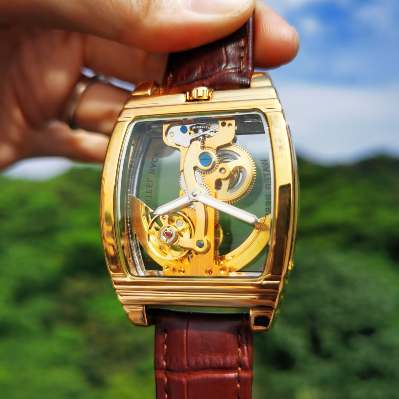 Leather Automatic Strap Transparent Mens Skeleton Watch-VESSFUL