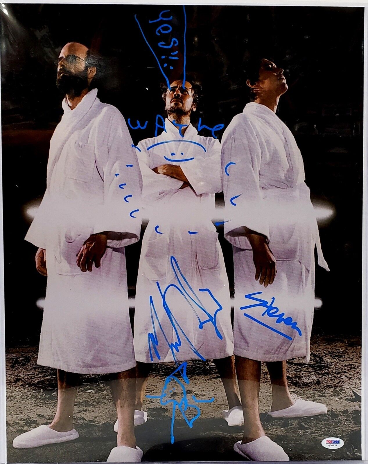 The FLAMING LIPS Wayne Coyne +2 Signed Autographed 16x20 Photo Poster painting PSA/DNA # Q30179