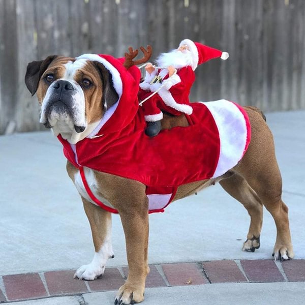 Pet Dog Santa Riding Outfit Costume Christmas Clothes For Small Dog Winter Dog Cat Hooded Coat Jacket Xmas New Year Pet Supplies - Shop Trendy Women's Fashion | TeeYours