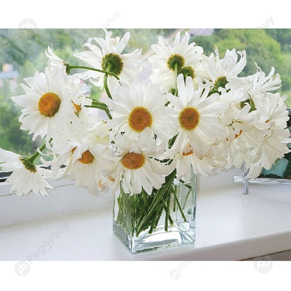

40*50CM Paint By Numbers-White Flowers, 501 Original