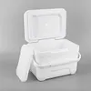 6L Insulated Portable Cooler with Handle Ice Bucket for Outdoor Picnic (White)