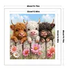 Highland Trio Full 11CT 3 Strands DIY Stamped Cross Stitch Kits for Beginners Adults Home Wall Decor Cross Stitch Art and Crafts Kits 40x40cm
