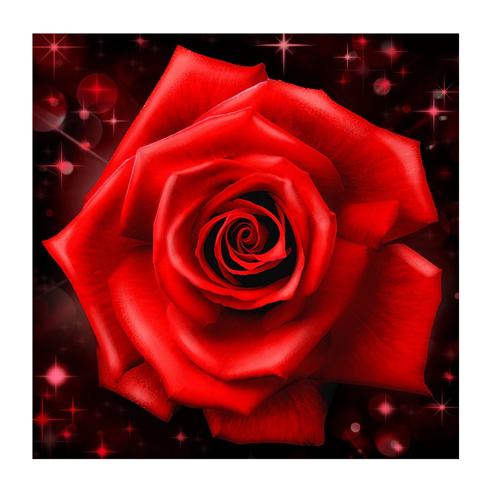 

Rose - Round Drill Diamond Painting - 30*30CM, 501 Original