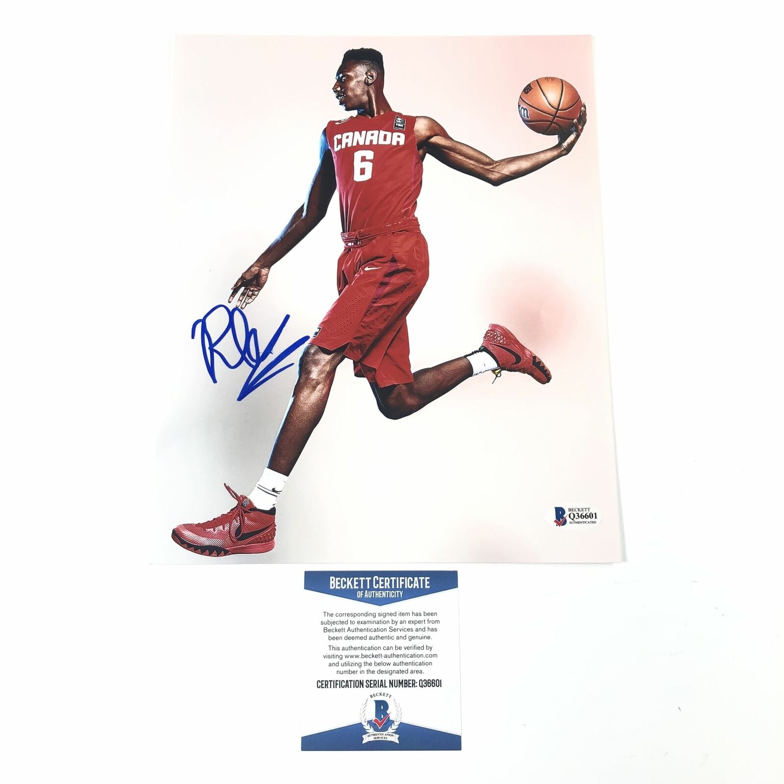 RJ Barrett Signed 8x10 Photo Poster painting BAS Beckett Team Canada New York Knicks Autographed