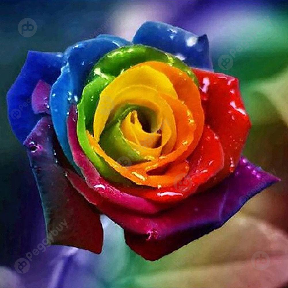 

30*30CM Round Drill Diamond Painting-Colorful Flower, 501 Original