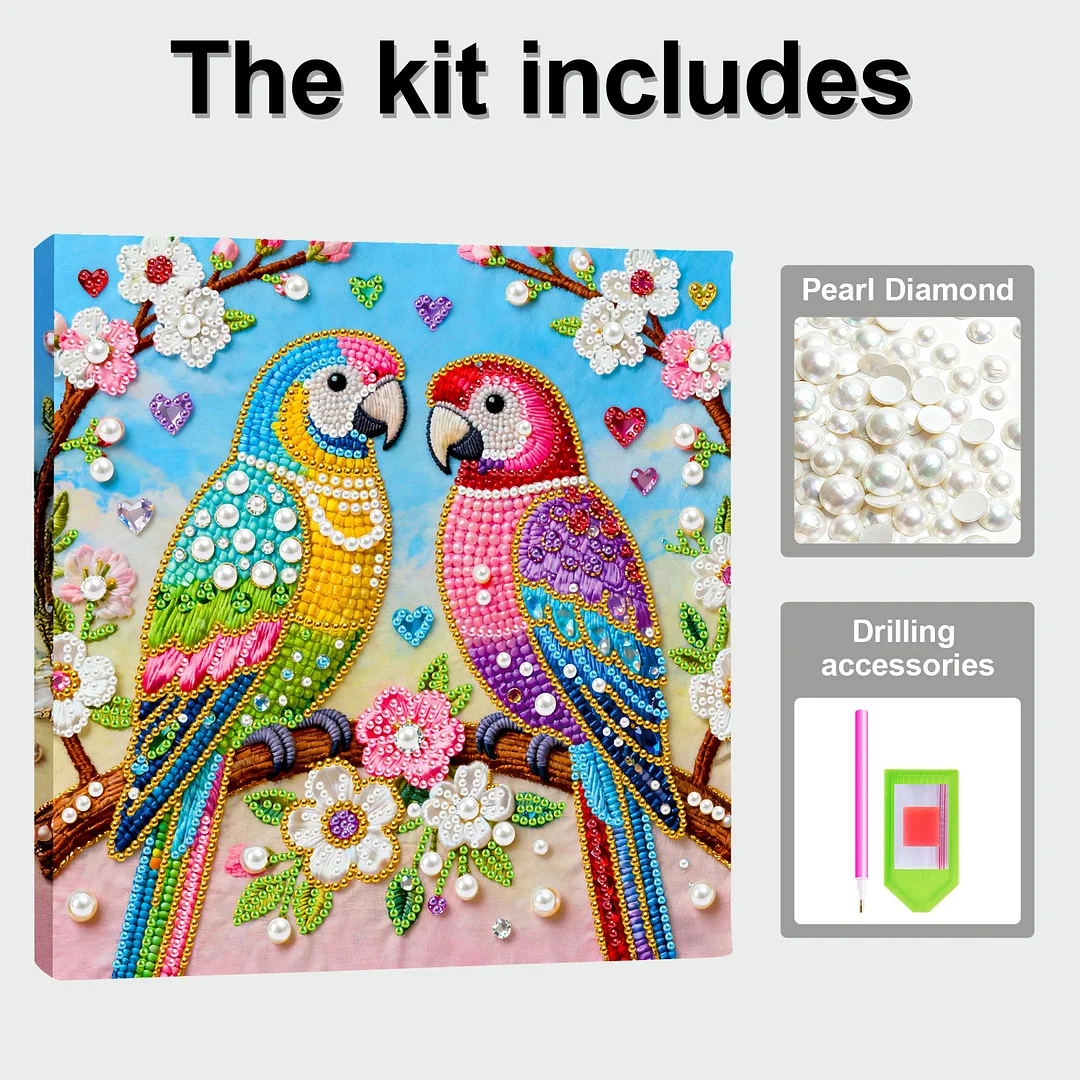 Two Birds Art Diamond Painting Kit for Adults Home Decor 25x25cm With Frame