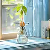 Avocado Seed Starter Vase Transparent Glass Avocado Tree Flower Vase for Balcony