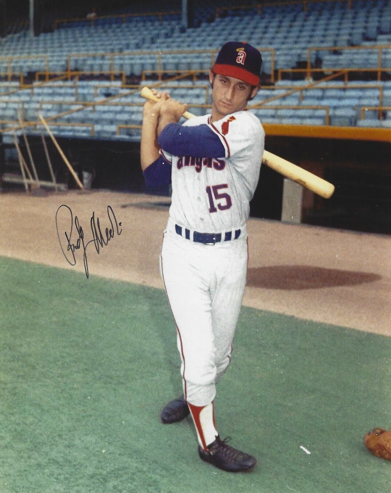 Autographed RUDY MEOLI CALIFORNIA ANGELS 8x10 Photo Poster painting - COA