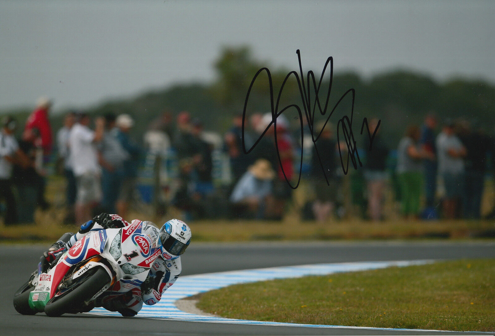 Sylvain Guintoli Hand Signed 12x8 Photo Poster painting 2015 Pata Honda 1.