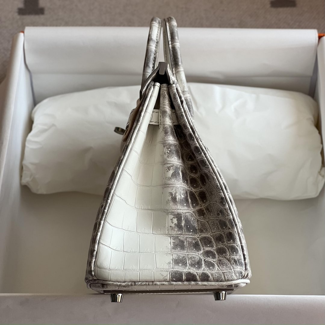 Birkin 25cm Matte Niloticus Crocodile  01 Himalaya PHW