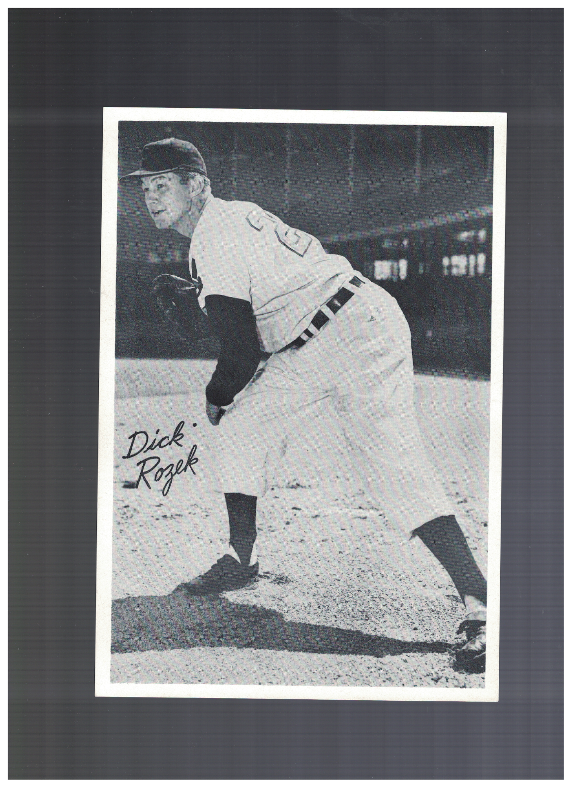 Dick Rozek Cleveland Indians 1950's 6x9 Picture Pack Photo Poster painting AO