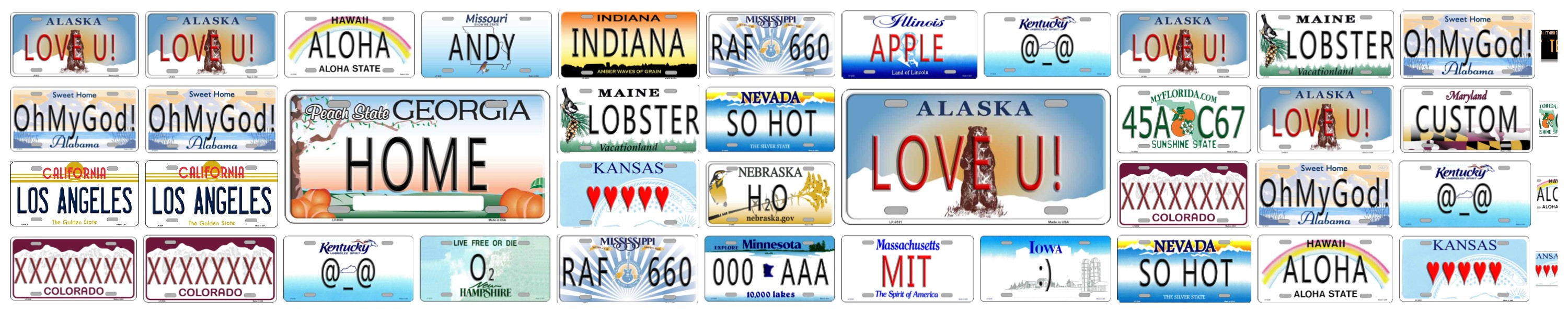 Customizable License Plate