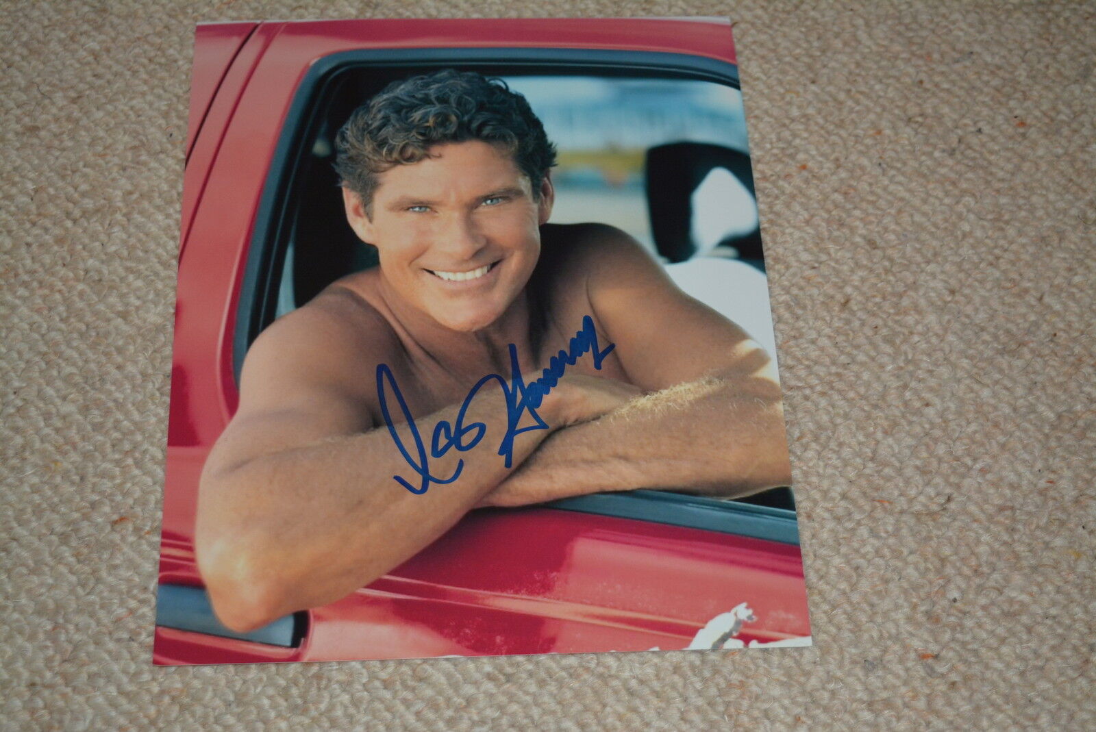 DAVID HASSELHOFF signed autograph In Person 8x10 (20x25cm) BAYWATCH