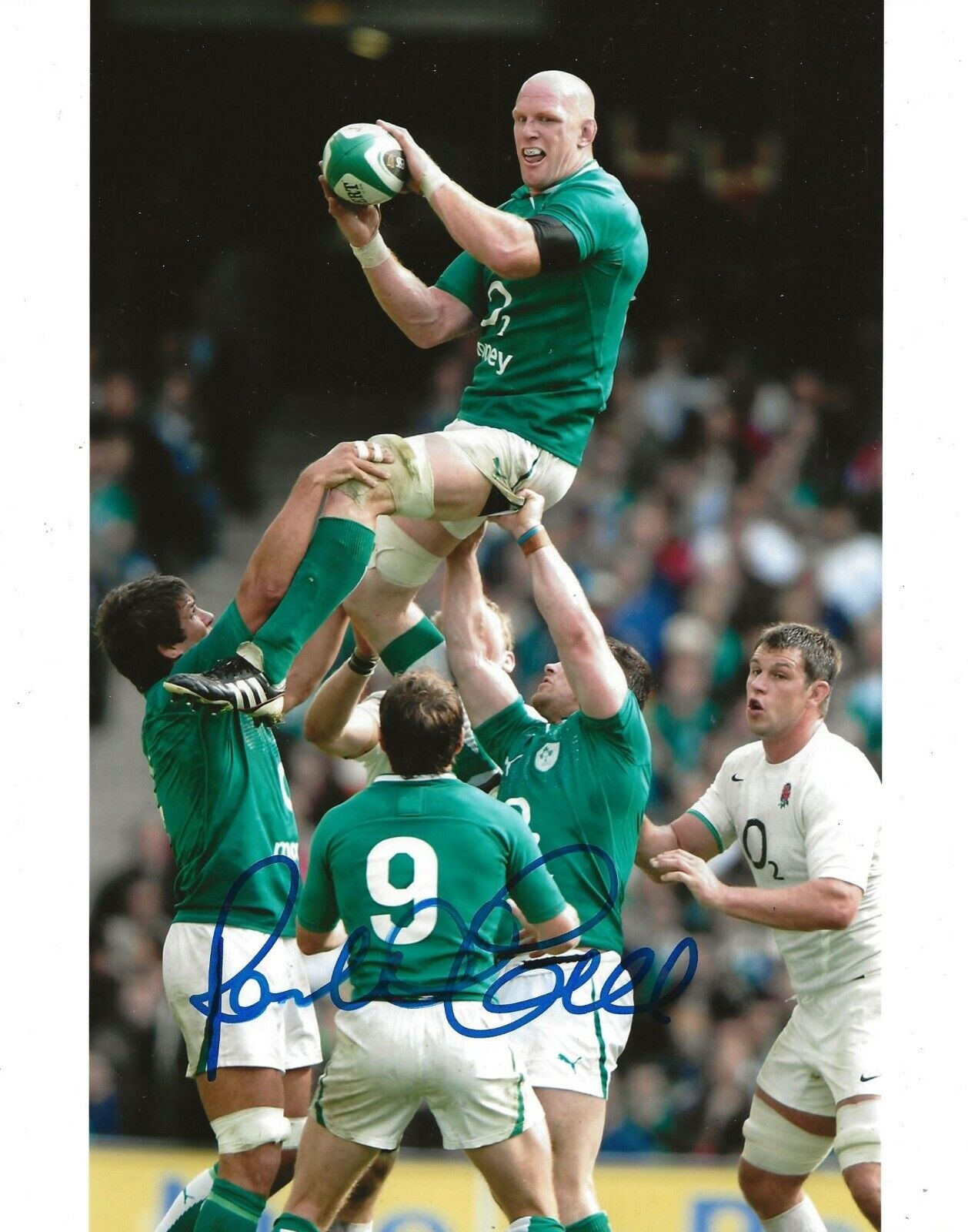 Paul O'Connell Munster signed Ireland Rugby 8x10 Photo Poster painting autographed 2