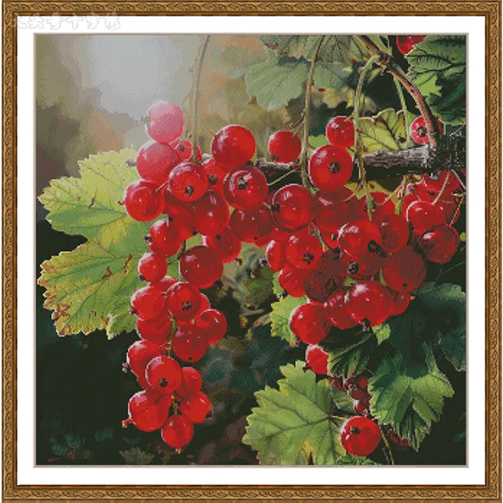 ZZ5549-Colorful Cherries]