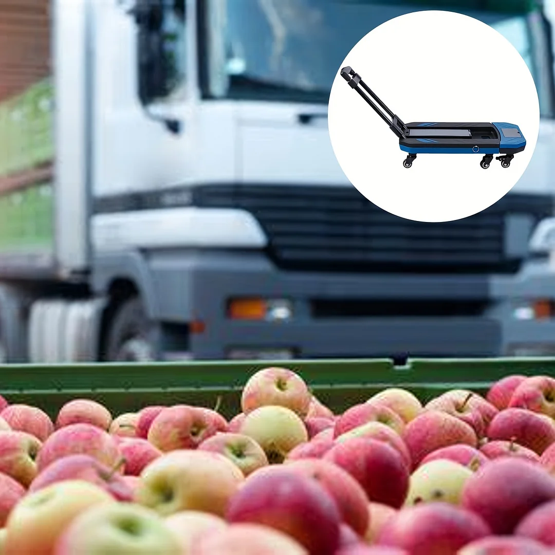 عربة تحمل حمولة 150 كجم، قابلة للطي، محمولة، مثبتة على السيارة