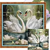 Swan-14CT Stamped Cross Stitch 40*40cm tapestrymarket