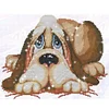 Dog- 9CT Partial Beaded Cross Stitch Kit(39x32cm)