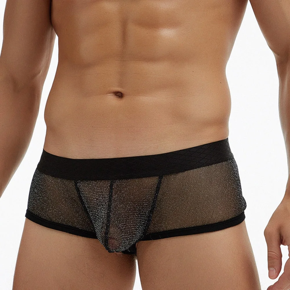 Aonga Men Transparent Boxer Briefs Man  Ultra-Thin Mesh Underwear Men's Sheer Panties Male Penis Pouch Low Waist Underpants