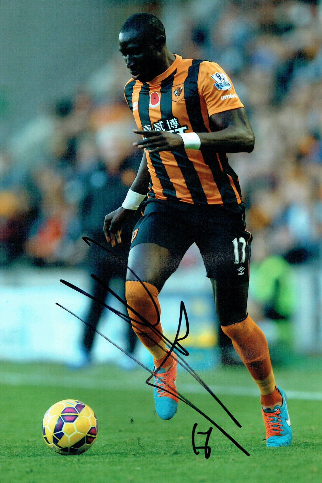 Mohamed MOMO DIAME Signed Autograph 12x8 Football Hull City Photo Poster painting AFTAL COA