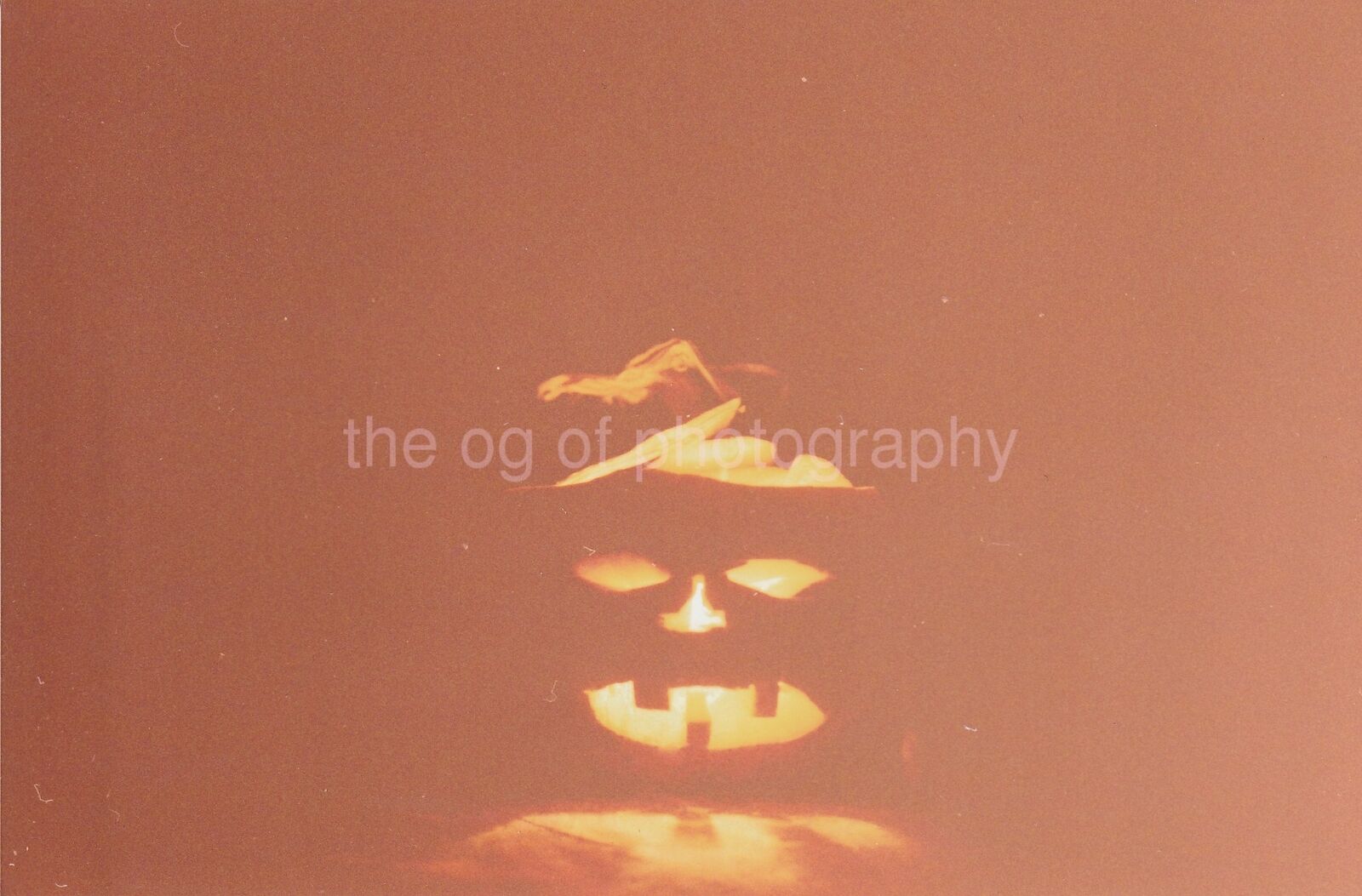 Halloween Pumpkin FOUND Photo Poster paintingGRAPH ColorSnapshot VINTAGE 94 5 Y